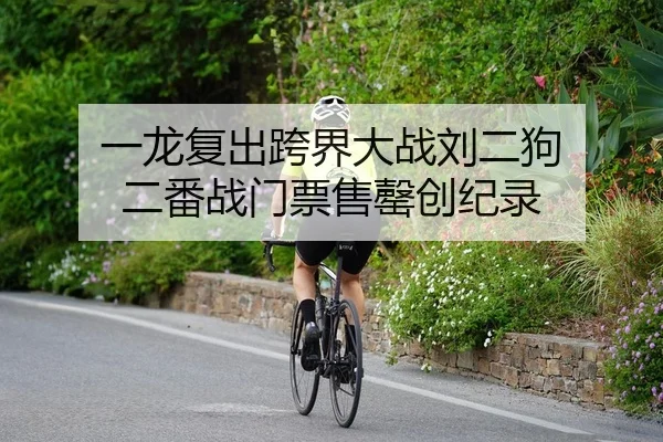 一龙复出跨界大战刘二狗 二番战门票售罄创纪录